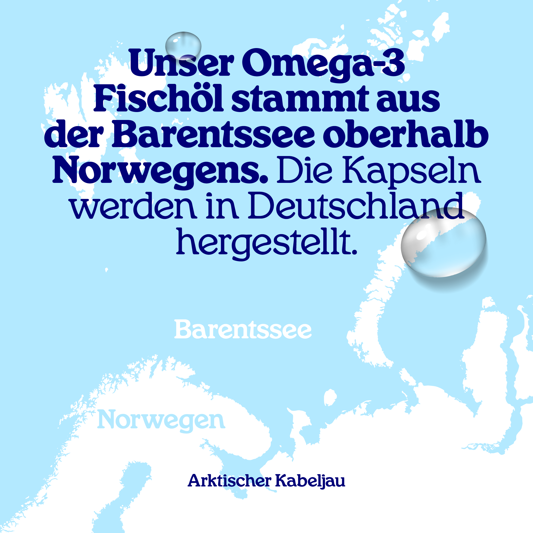 Arctic Blue Omega 3 - Fischölkapseln für Hunde, Katzen & Pferde - MSC (90 kleine Kapseln)