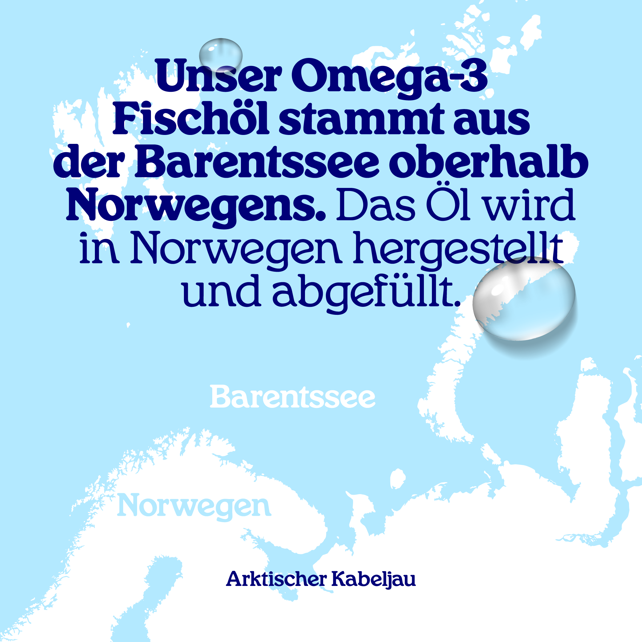 Arctic Blue Omega 3 DHA- und EPA-Fischöl mit Vitamin D3 (Orangengeschmack) - MSC - 250 ml